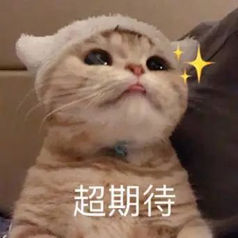 龙8long8，注册新公司怎么取名字？奉贤市场监管来帮你！