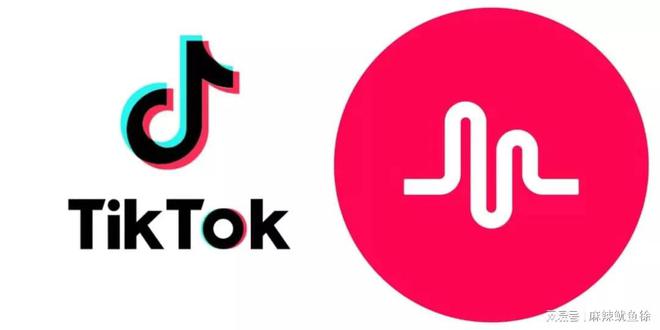 龙8long8，TikTok海外公会申请注意事项及入驻流程